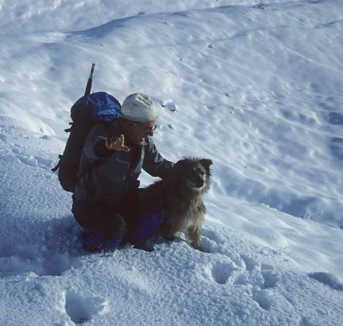 24 Il cane più fedele della Pintura di Bolognola (anni 80-90’). Ma anche altri animali frequentano i Monti Sibillini